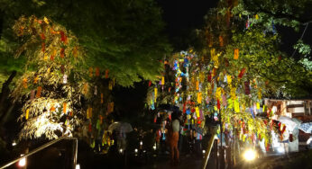 高台寺 七夕会 夜間特別拝観