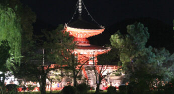 旧嵯峨御所大覚寺 大沢池ライトアップ