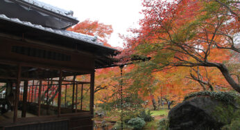 宝厳院 秋の特別拝観