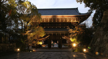 知恩院 秋の紅葉ライトアップ