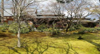 宝厳院 春の特別公開