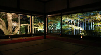 宝泉院 秋の夜灯り