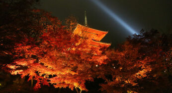 清水寺 夜間特別拝観と紅葉ライトアップ