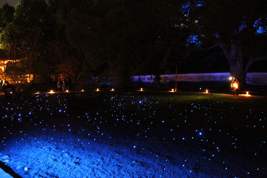 青蓮院門跡 夜の特別拝観 ざ 京都