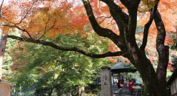 住蓮山安楽寺 秋の特別公開