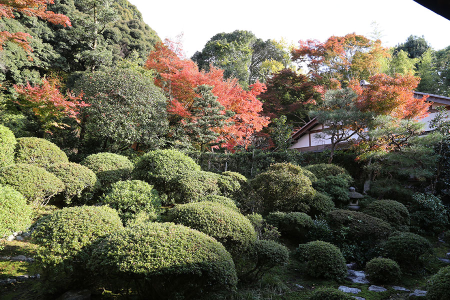 安楽寺